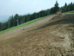 FIS-Umbau 