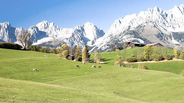 „Österreichs Seilbahnen sind bereit für den Bergsommer 2021!“