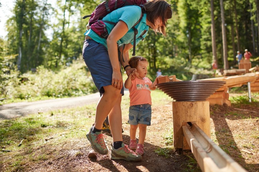 Söllereck: Söllis Kugelrennen - Zwei neue Bahnen für noch mehr Familienspaß!
