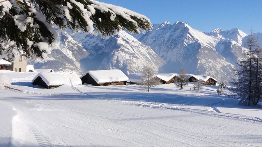 Ticketcorner.ski: Saisonstart mit neuem Webshop, neuen Bergbahnen und neuer Zuversicht