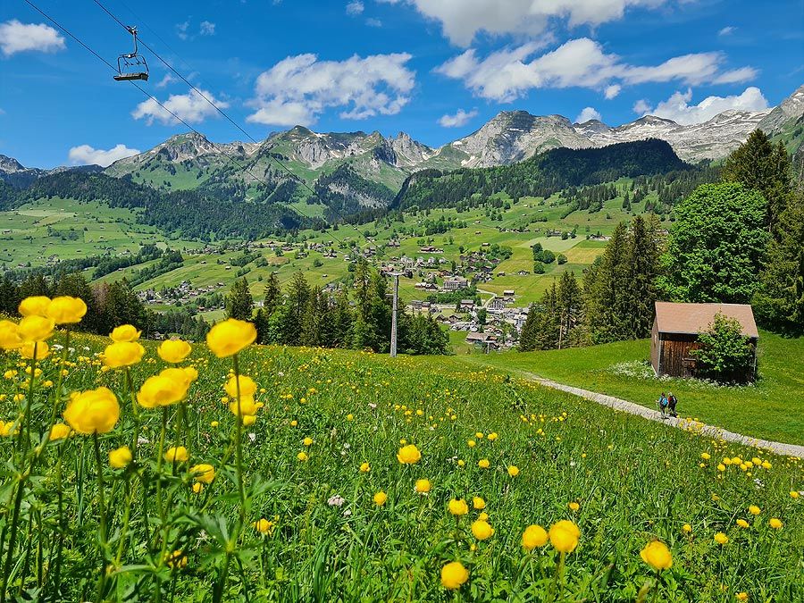 Bergbahnen Wildhaus: Respektables Ergebnis nach Wetterkapriolen
