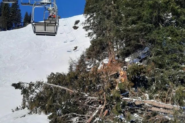 LBV klagt im Eilverfahren auf sofortigen Baustopp am Fellhorn